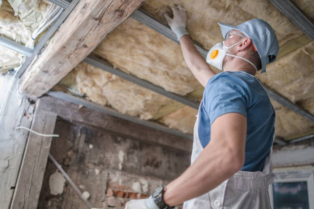 Best Commercial Insulation in Grape Creek, TX
